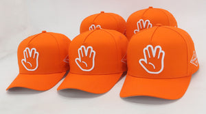 TV “Salute” SnapBack