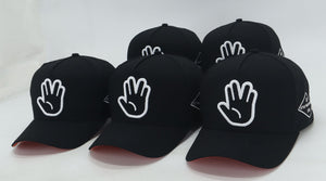 TV “Salute” SnapBack